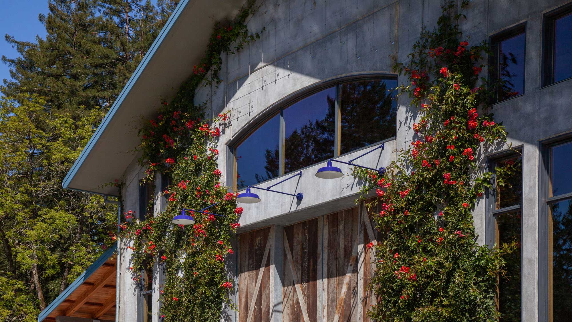 Ground level view of 3 purple light fixtures, framed by large reaching plants.