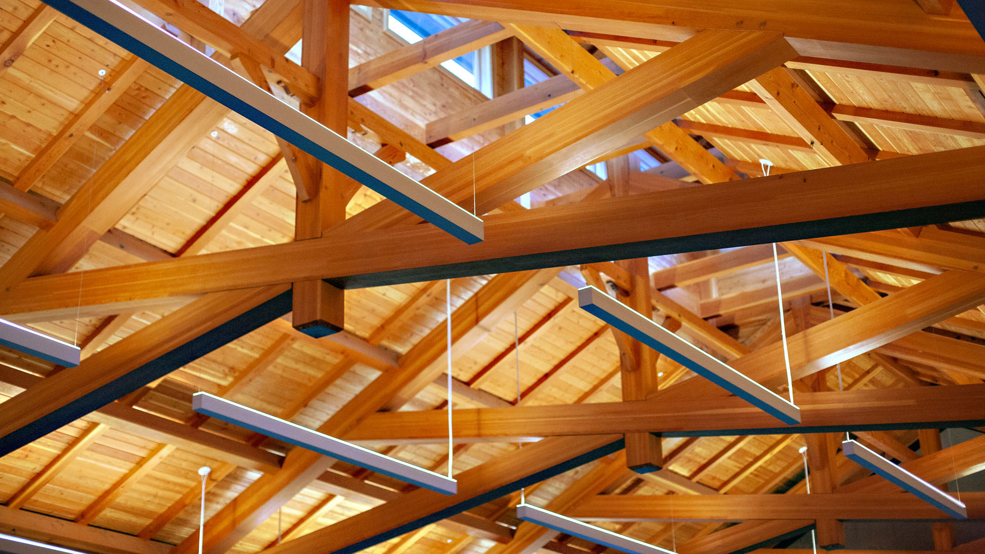 Wooden truss inside the barn, geometrically patterned with light fixtures evenly spaced.