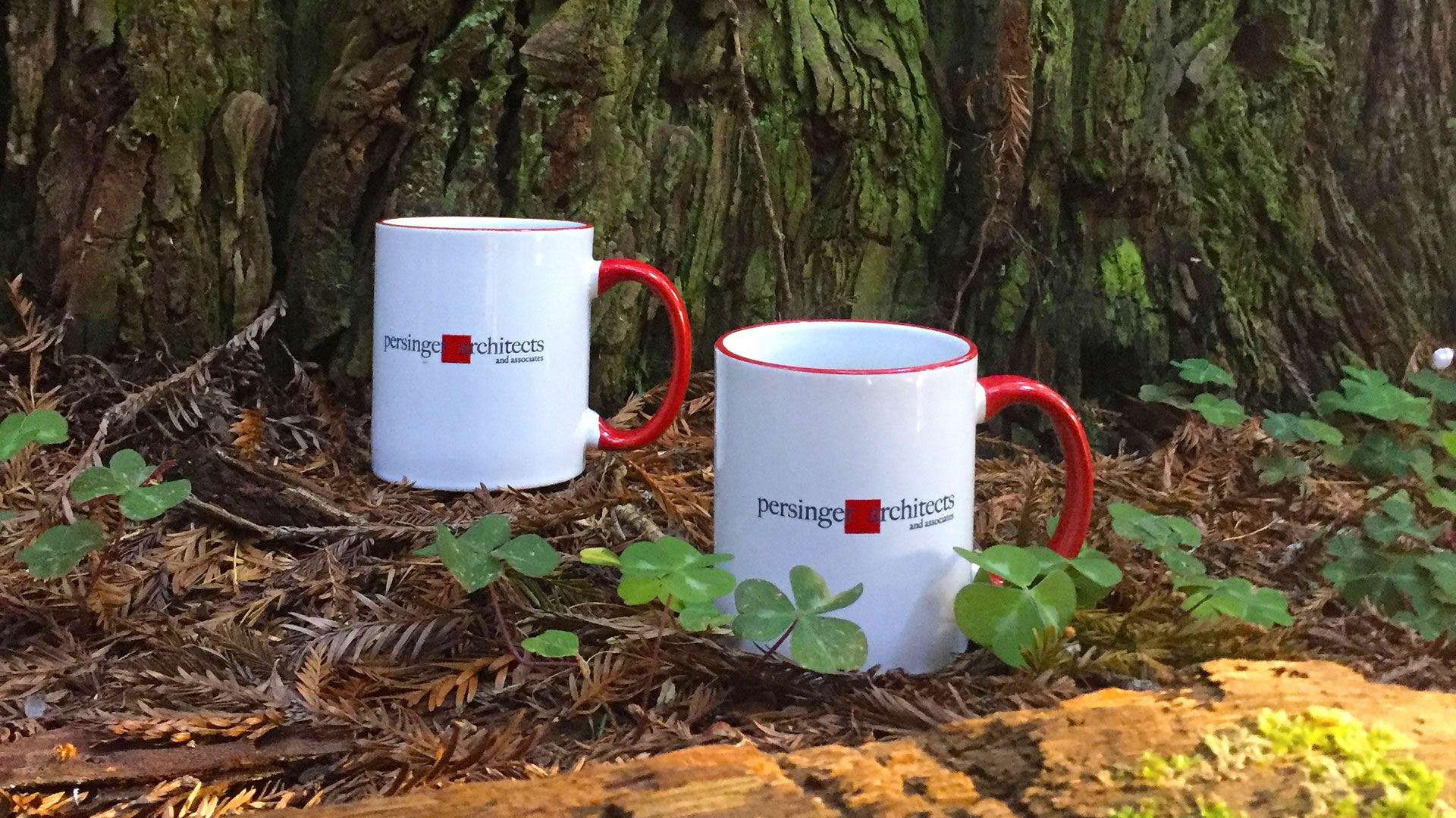 Pair of persinger mugs on forest floor at base of large tree