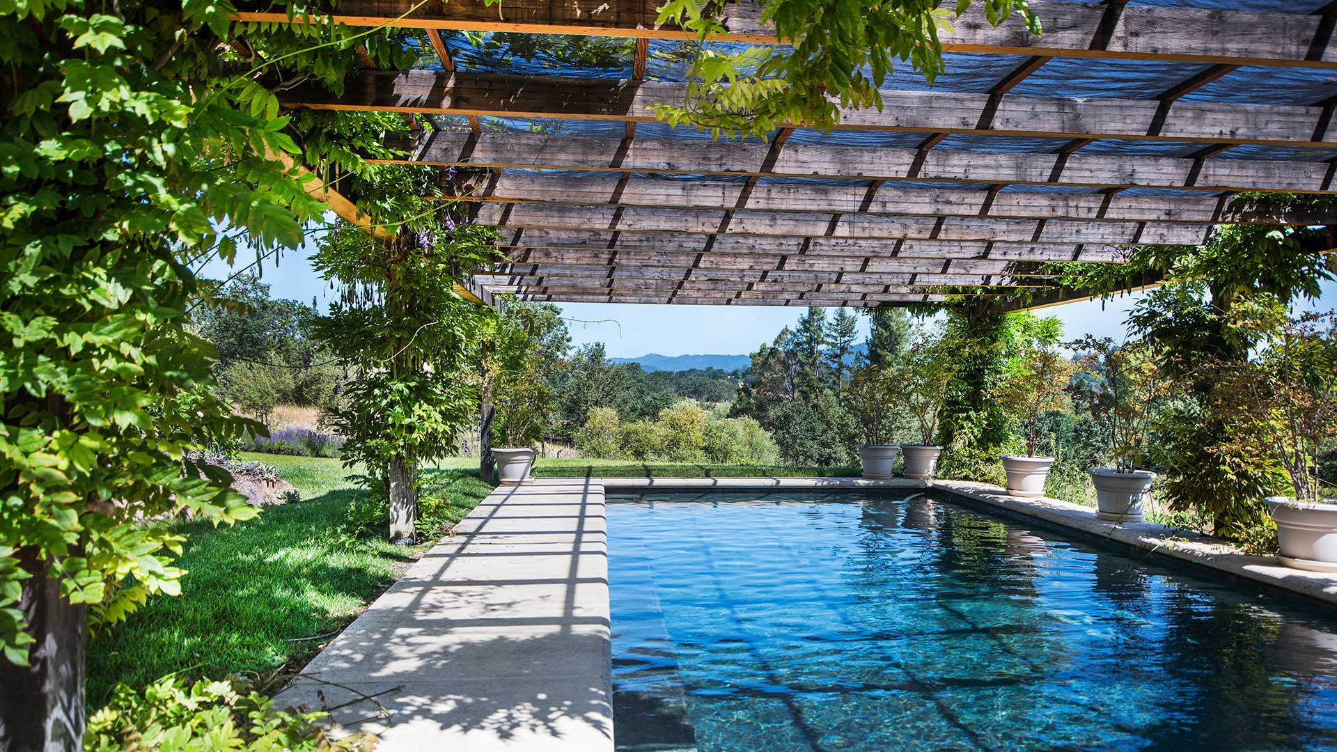 Blue, clear pool bordered by gray concrete. Pergola stretches above with plants wrapped around the columns.