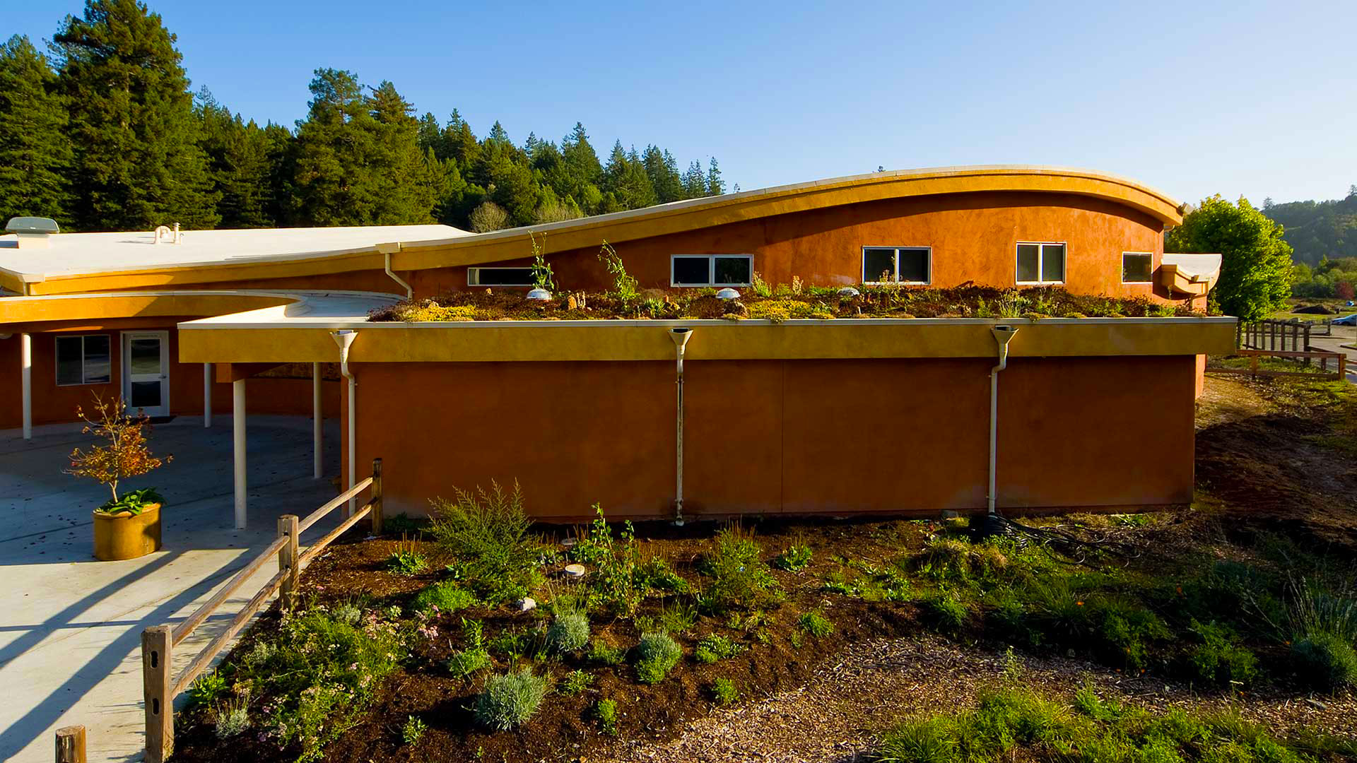 Exterior of school with garden space and green roof above.