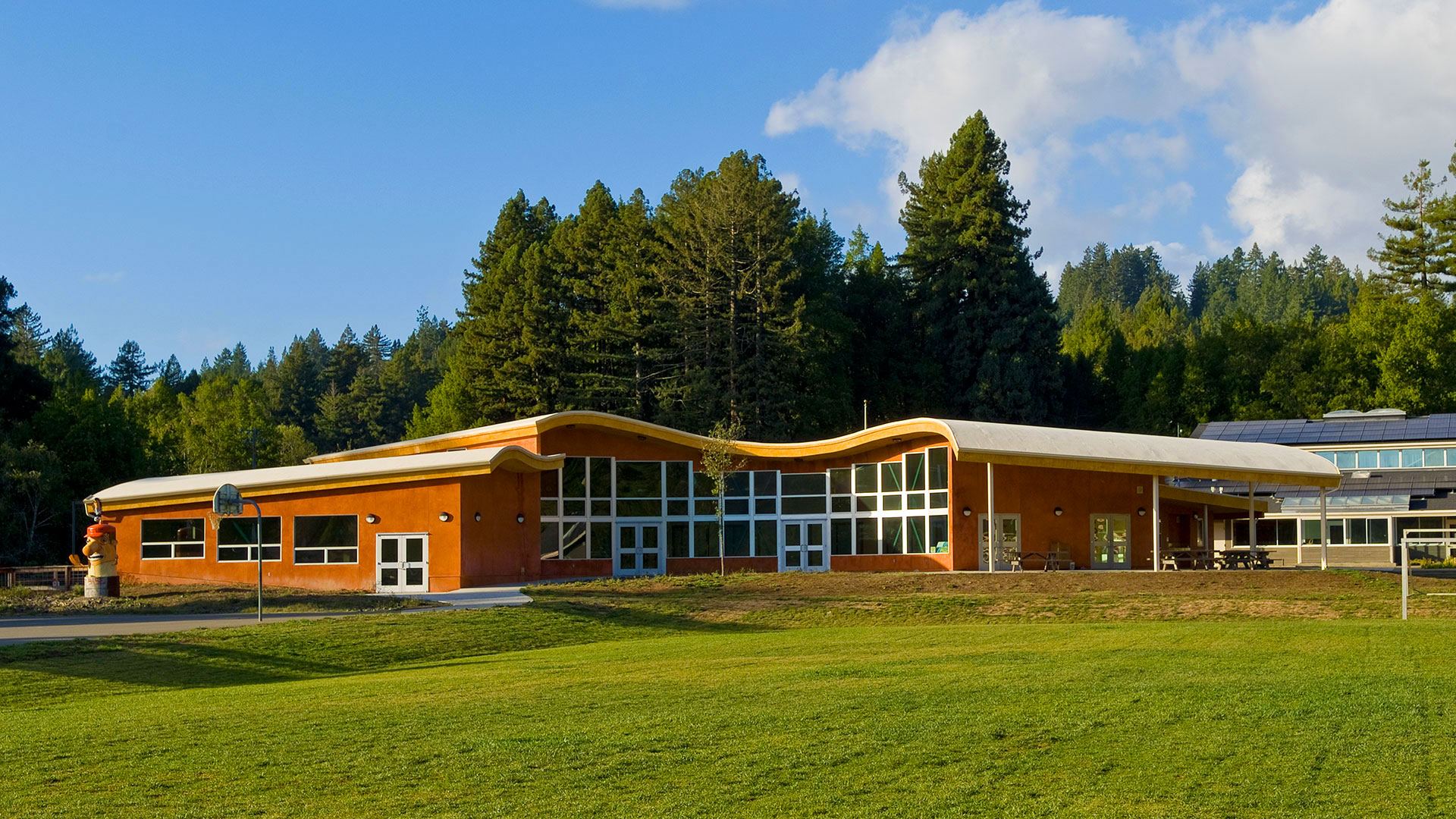 School with curving orange walls and white roofs. Vast windows curve towards main outdoor area. Large redwoods stand behind.