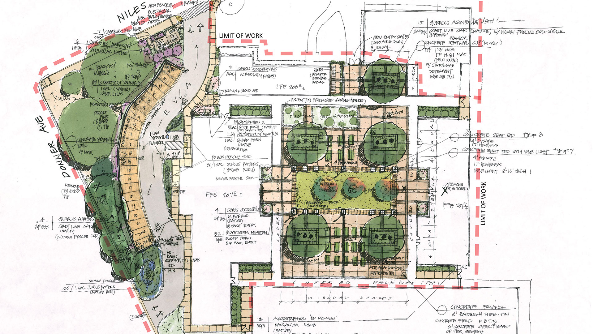 Drawn plan of landscaping around modular classroom wings, showing tree and bush locations.