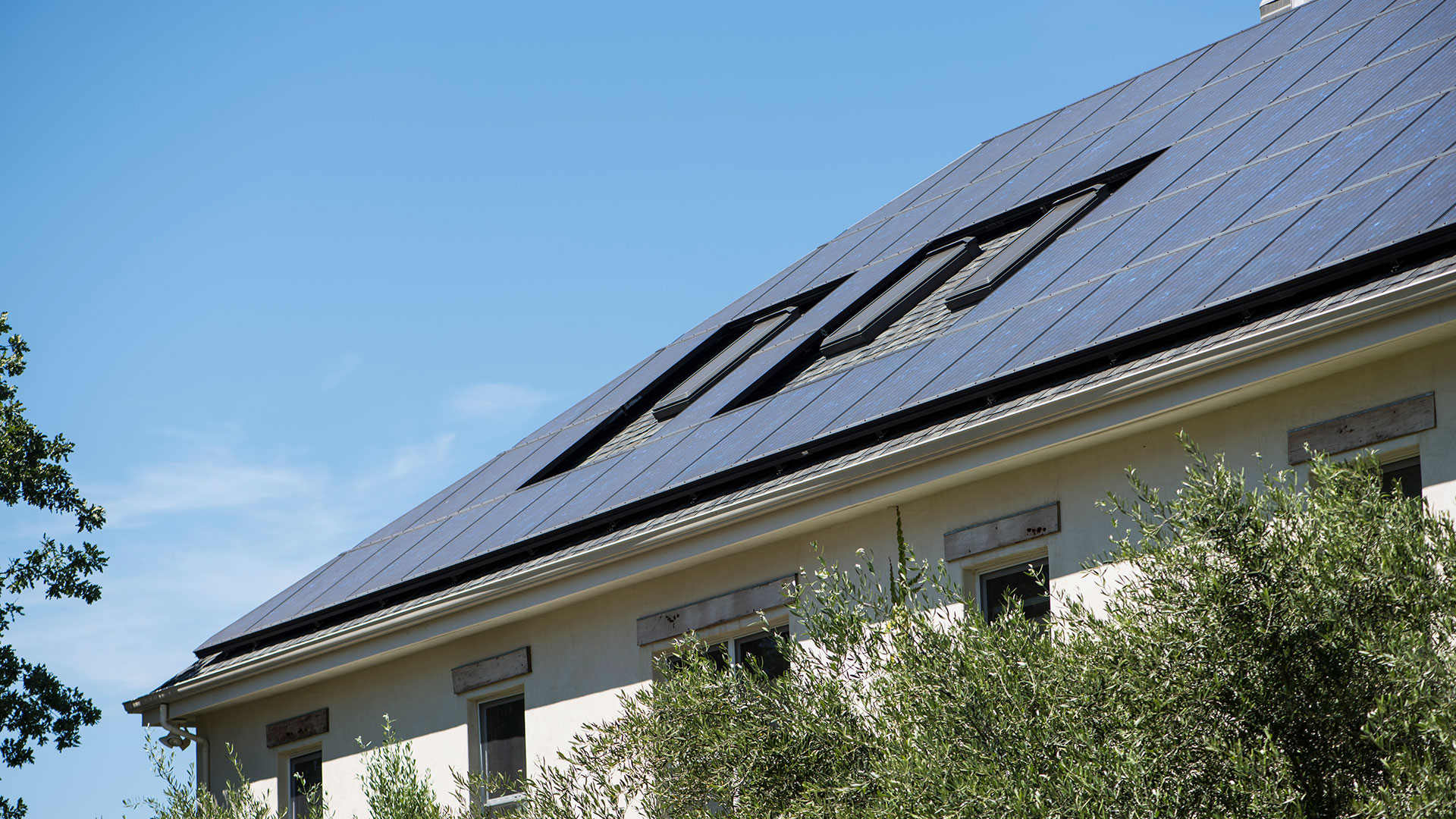 Roof of solar panels, with gaps for skylights. Bushes below and blue sky above.