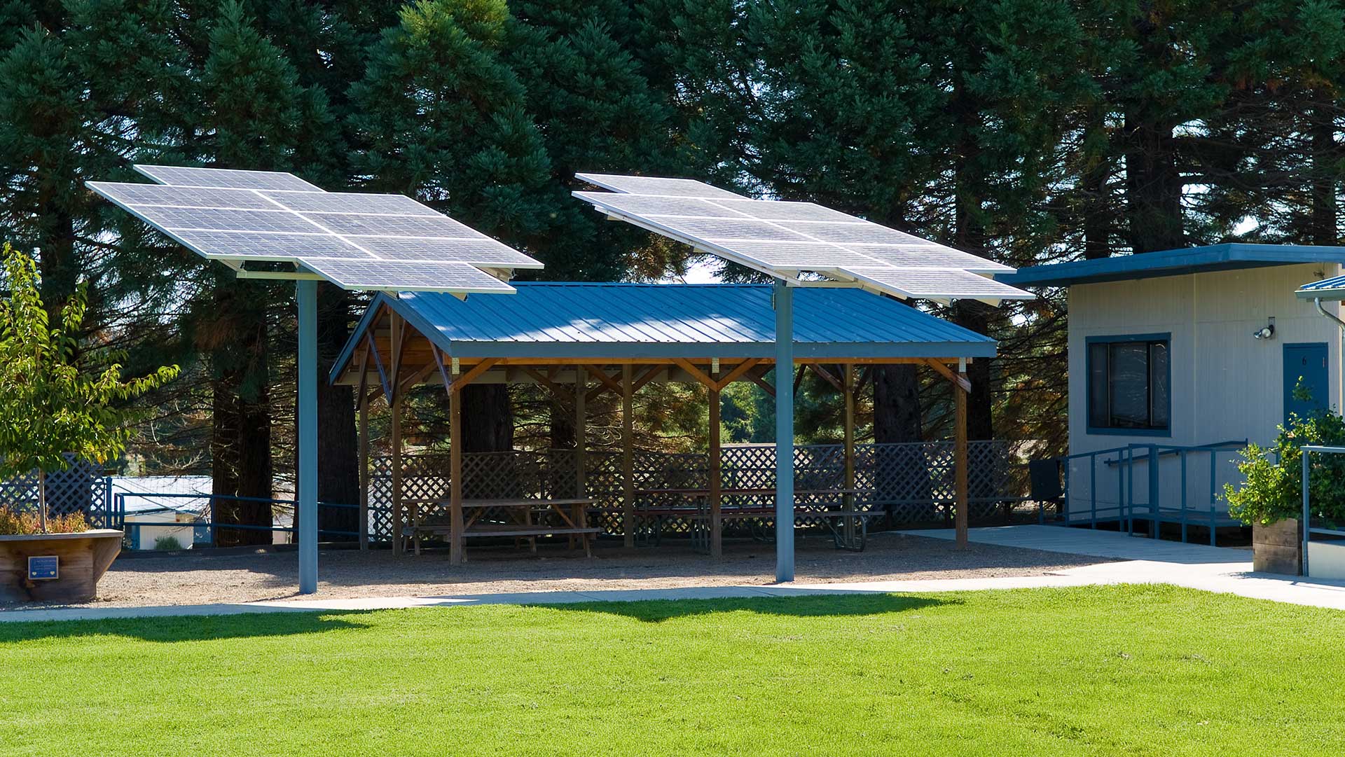 Individual solar panels on single posts, assembly resembling large flowers. Redwood trees and seating area behind.