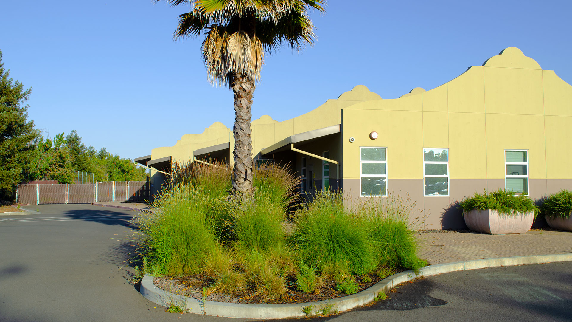 Entrance of school, with mission-style rooflines, beige walls, and gray wainscot. Bushes and palm tree landscaping.