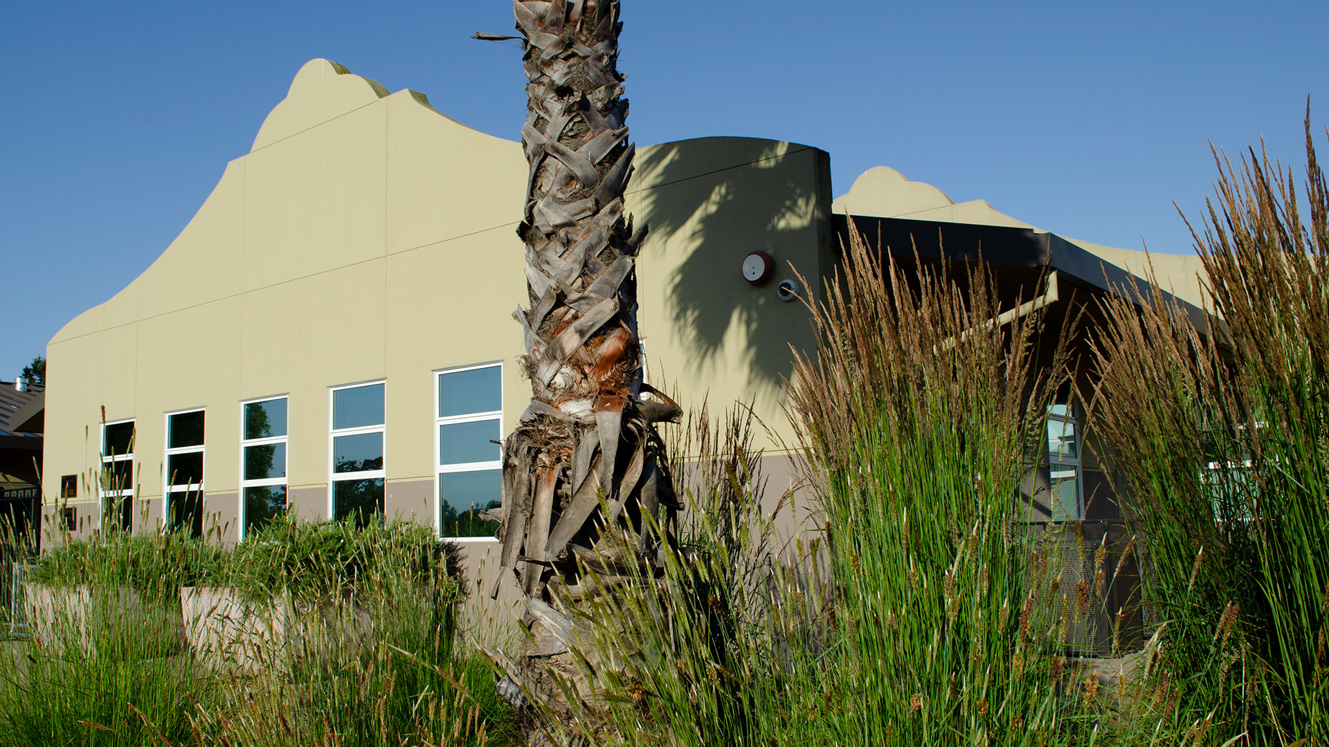 Entrance of school, with mission-style rooflines, beige walls, and gray wainscot. Bushes and palm tree landscaping.