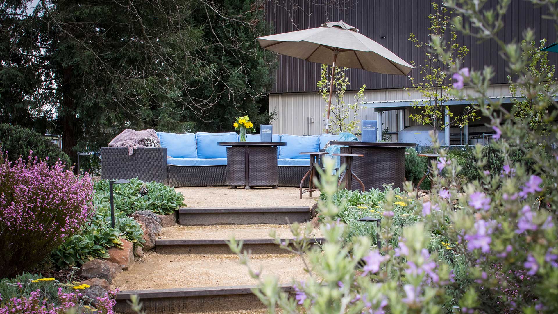 Outdoor seating area surrounded by flowers, with blue cushions and beige umbrellas.