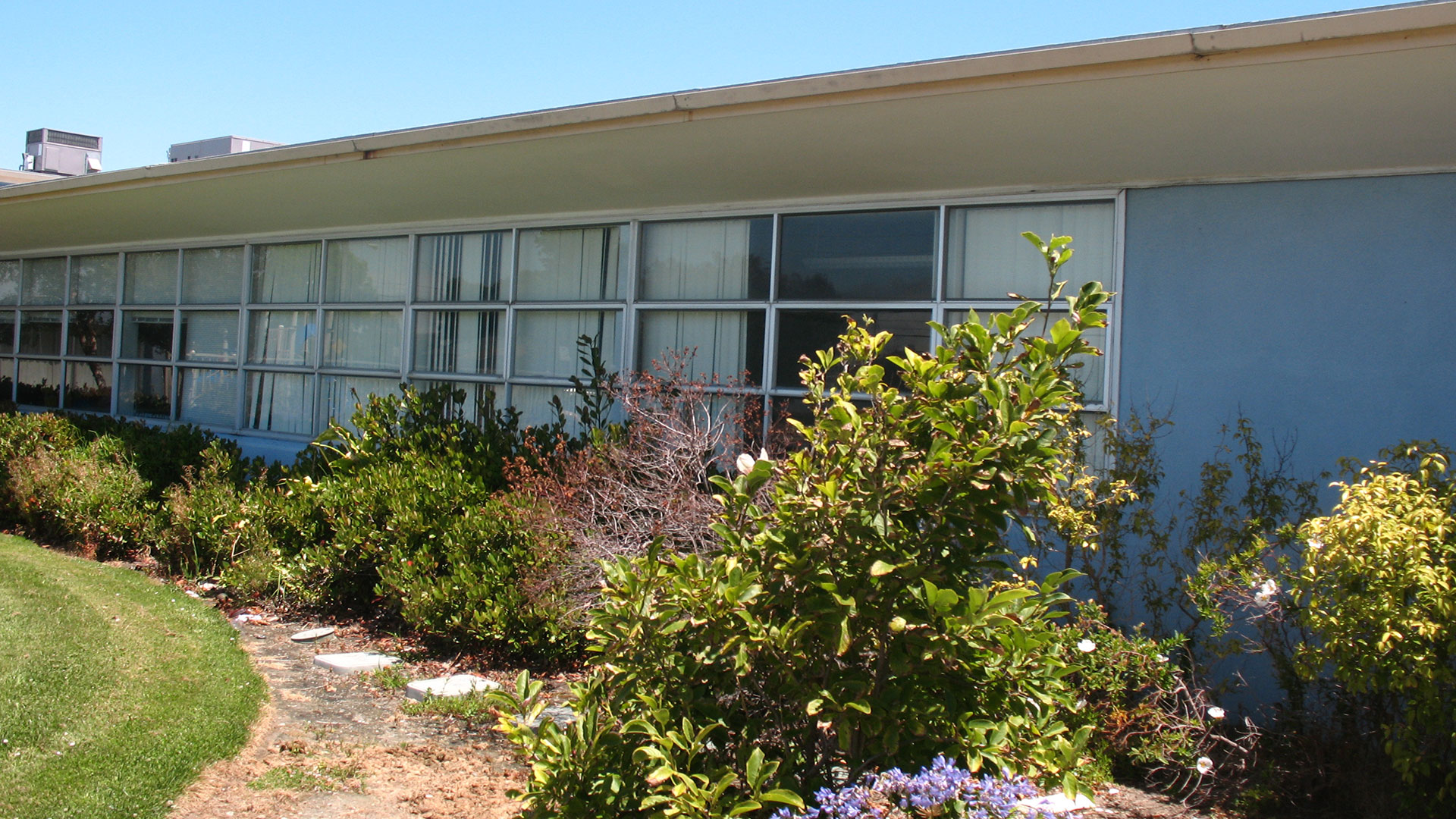 School building with beige walls and windows with white trim, and plants in foreground.