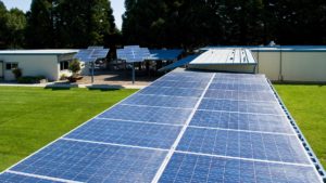 Rooftop view of expansive solar panels by classroom wing, with solar sunflowers in background