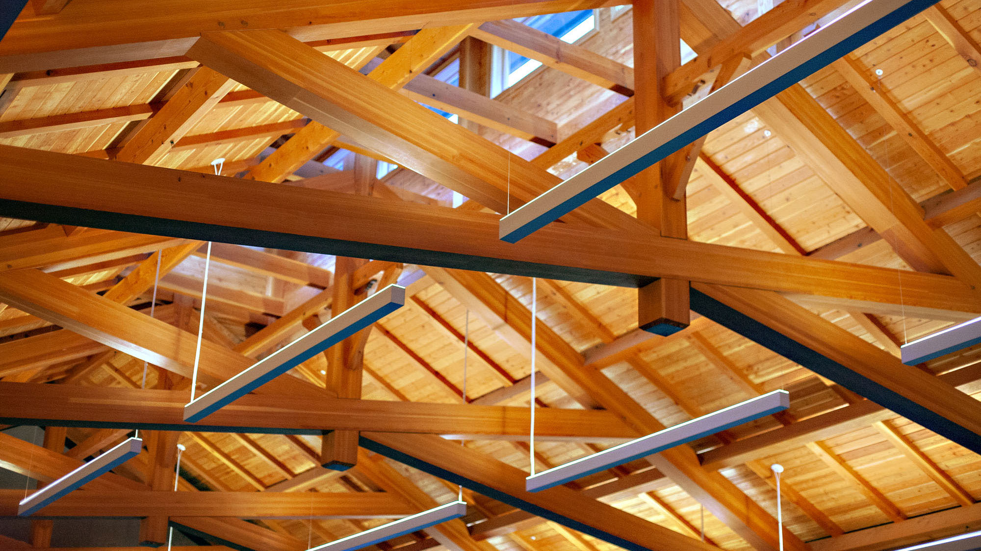 Wooden truss inside the barn, geometrically patterned with light fixtures evenly spaced.